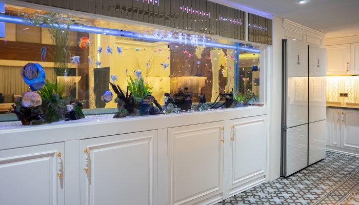 Large built-in aquarium in luxury home