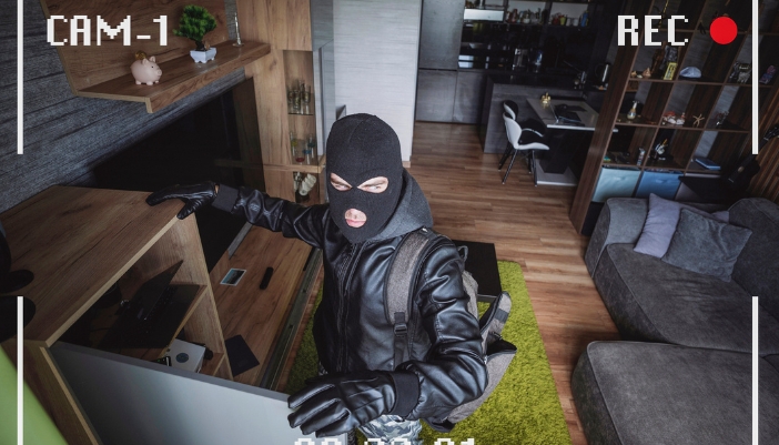 Image of an intruder caught on camera disturbed by some sounds