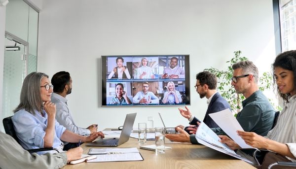 Virtual Conference Call
