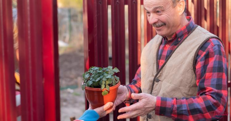 man receiving a plant from his neighbor