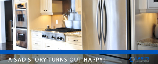 Kitchen image with title that reads A SAD STORE TURNS OUT HAPPY