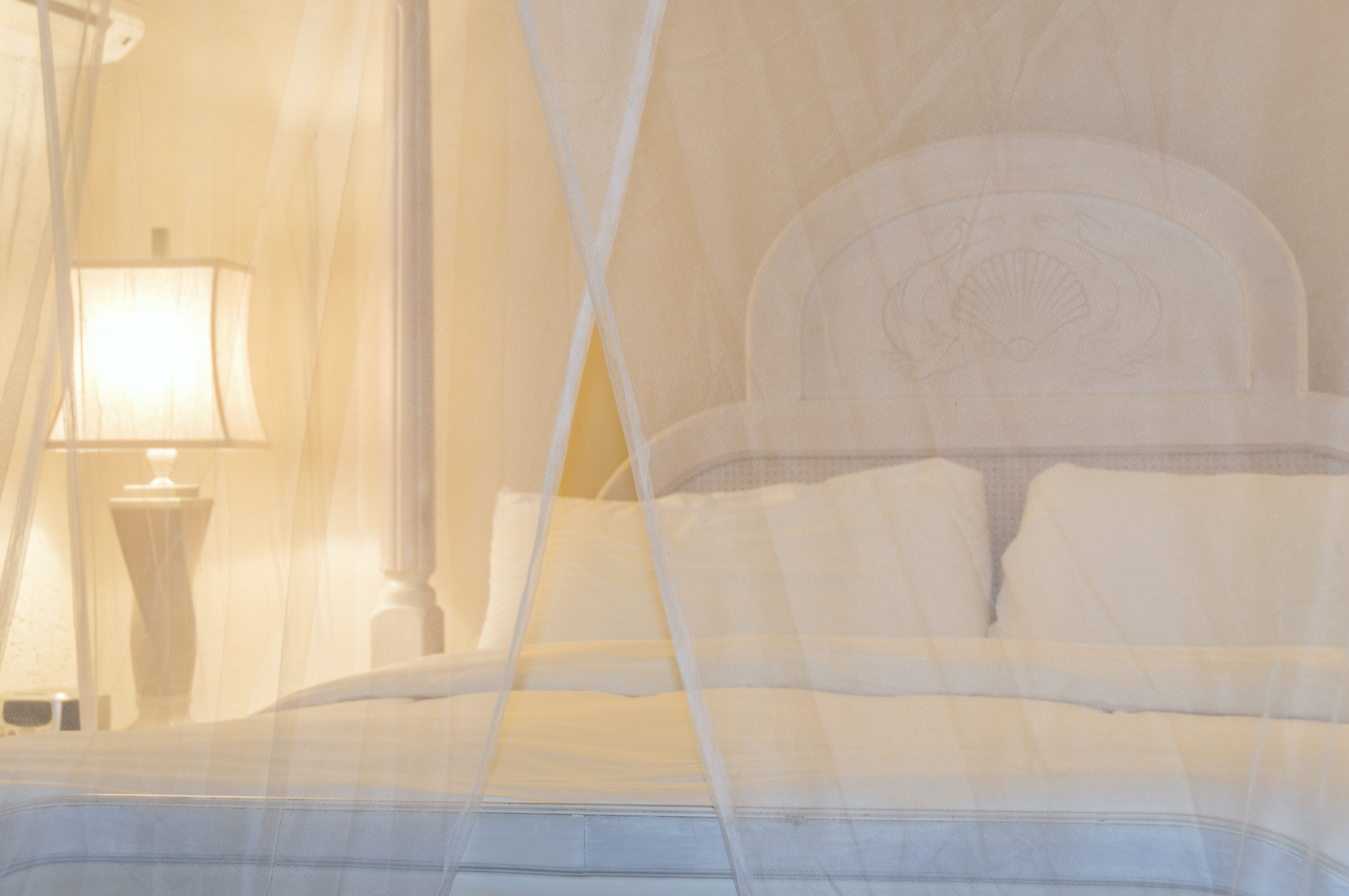 Traditional white bed with a canopy