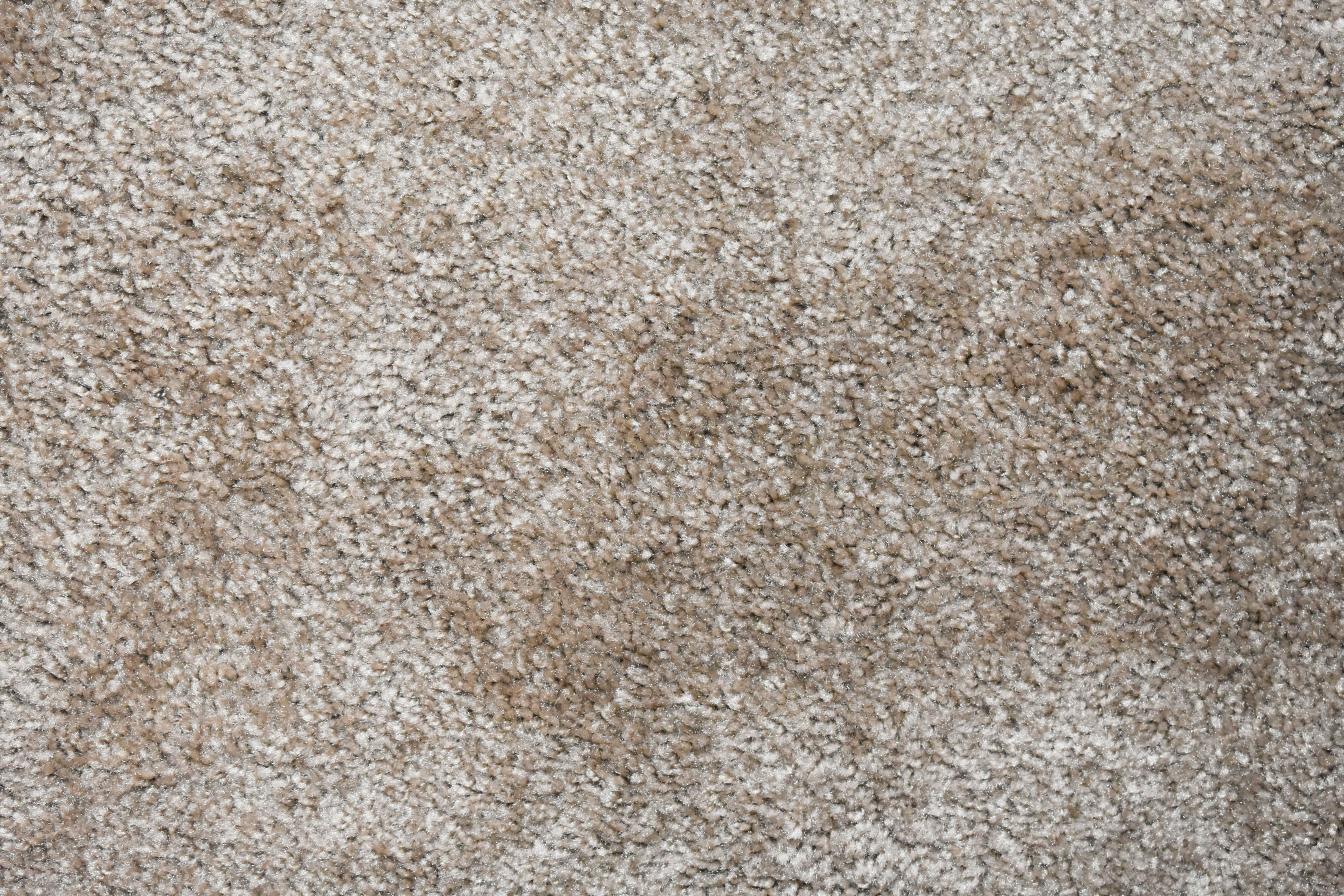 Up close look at carpet flooring in neutral beige