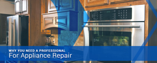 kitchen image with title that reads “WHY YOU NEED A PROFESSIONAL For Appliance Repair”