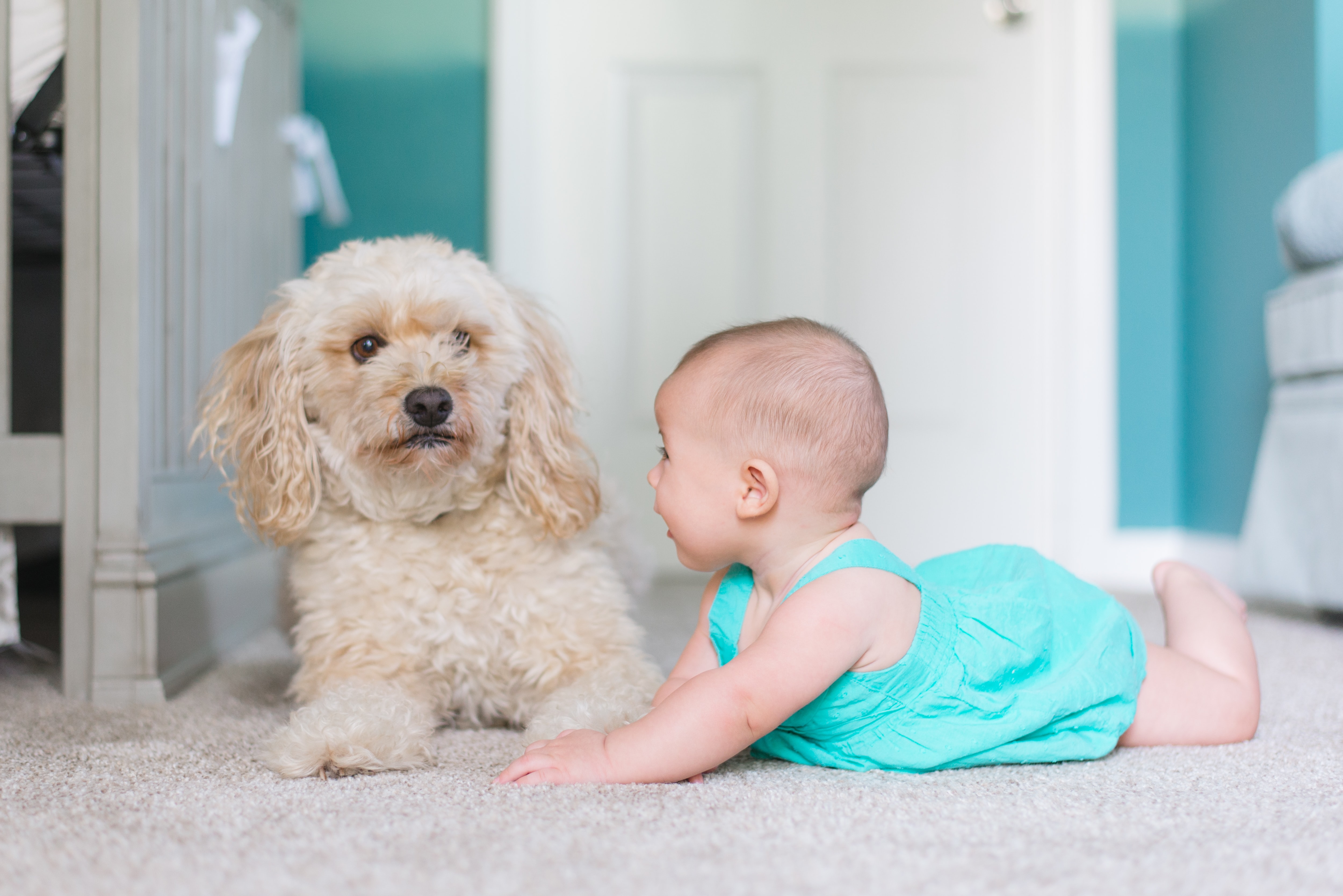 dog and a baby together on the floor