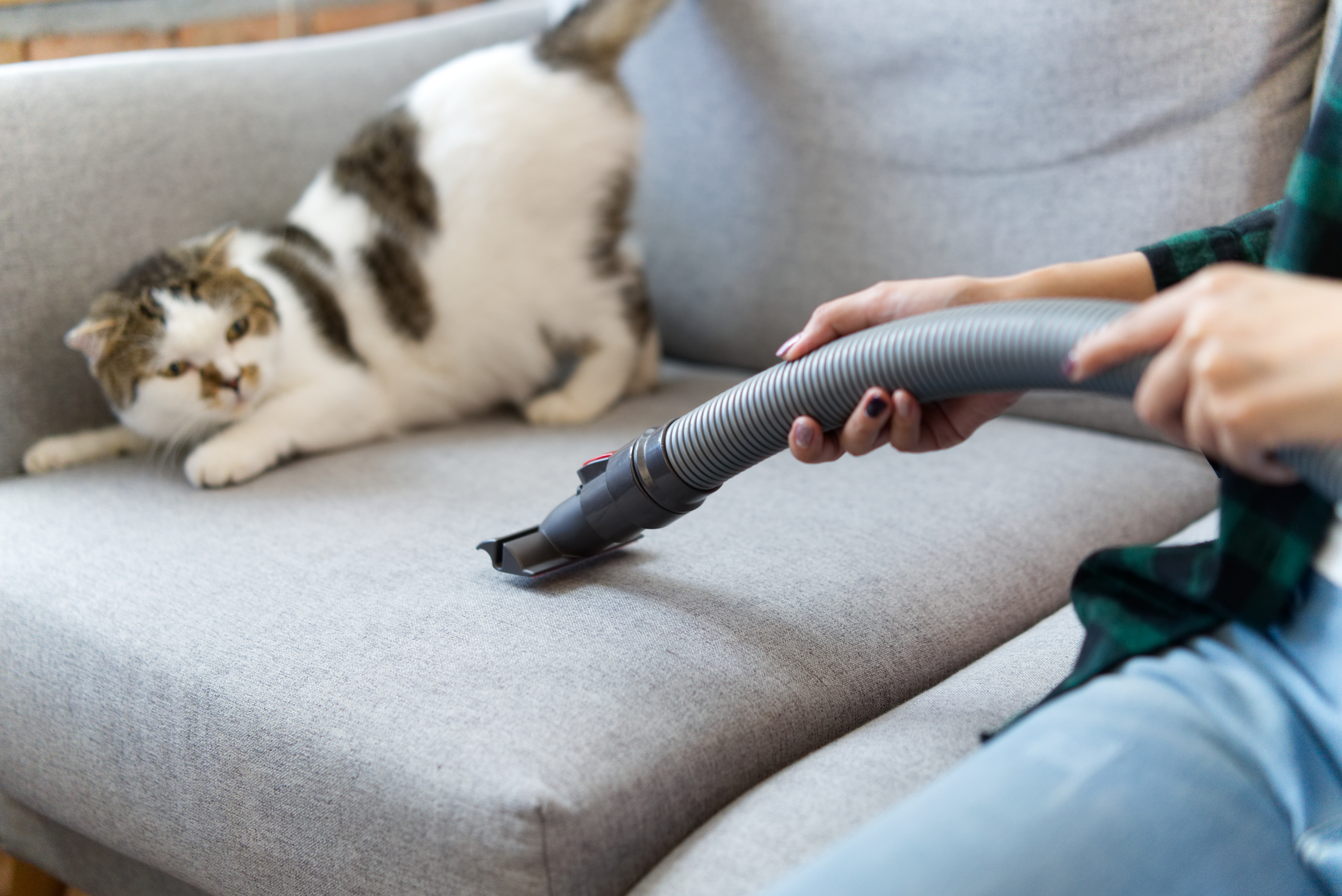 vacuuming a couch