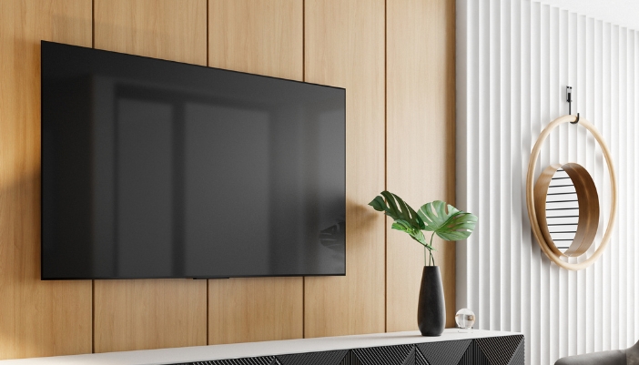 mounted tv on wall