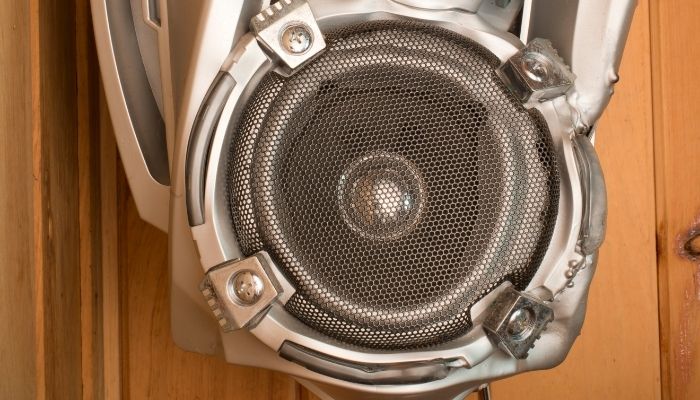 damaged speaker