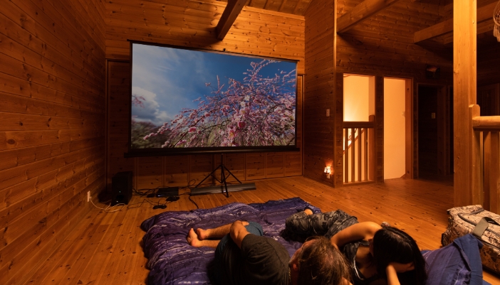 A fixed projector screen showing a very vivid image