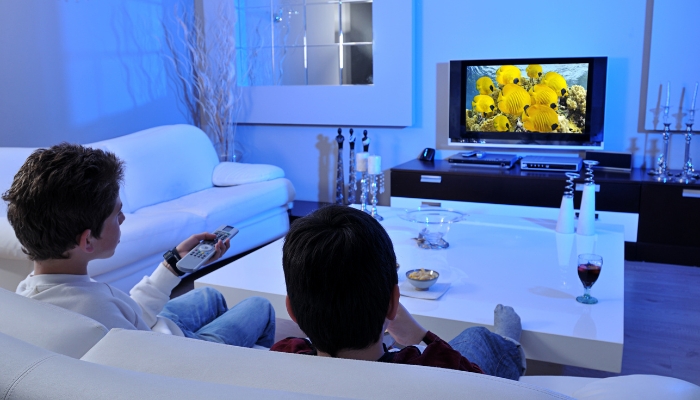 Two friends watching a nature documentary on a plasma screen