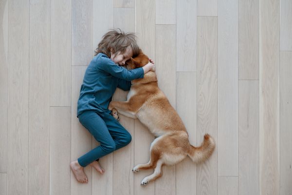 A boy and a dog on hardwood flooring 