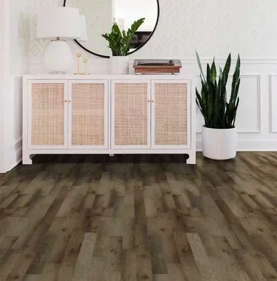 The Shaw Floors Canyonlands flooring in a foyer 