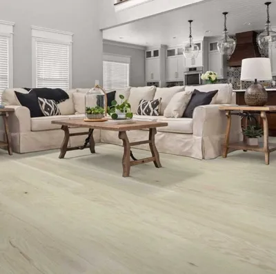 The Shaw Floors Exploration flooring in a living room 