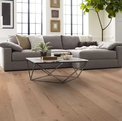 The Shaw Floors Pebble Hill flooring in a living room 