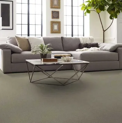 Shaw Floors Soft Shades carpeting in a living room 