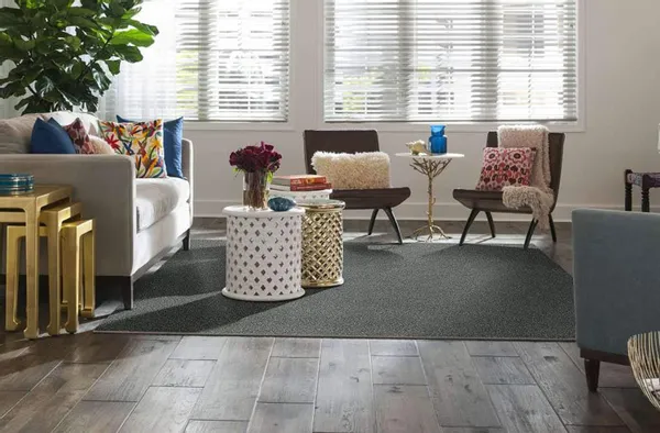 Living Room with Area Rug