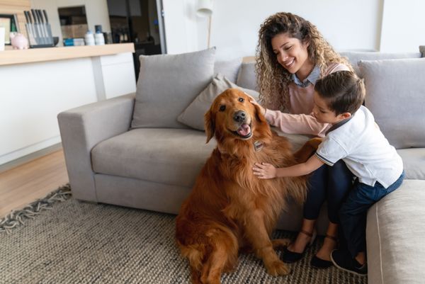 A mother and child on a sofa petting a dog 