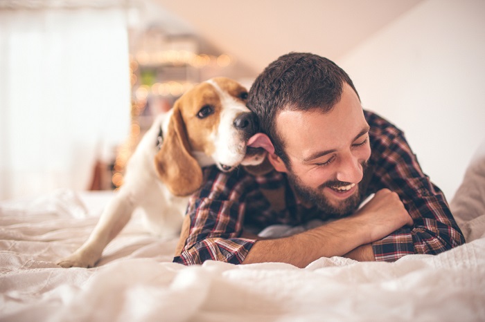 Pet Proof Bedroom