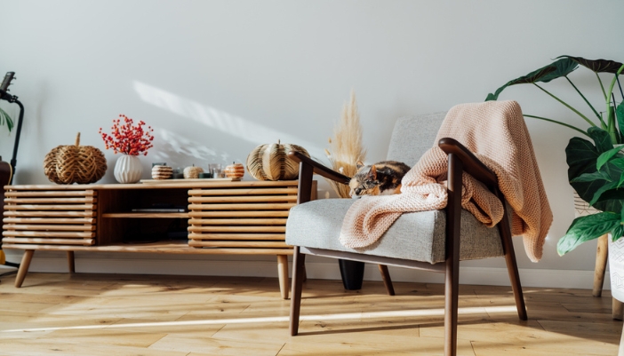 A cat sits on a gray and wooden chair with a pink throw blanket. Fall home decor accents surround.