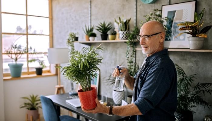 Man watering plant in home office