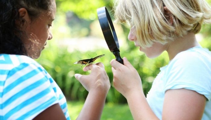 two young girls observing butterflies