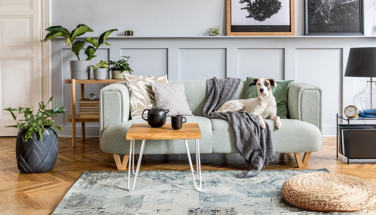 Stucky S Furniture Appliance