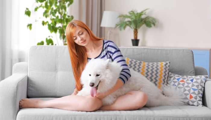 Woman sitting on sofa with her fluffy husky