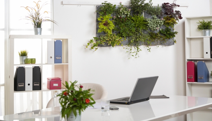 Home office with a refreshing and well-organized back wall for virtual meetings