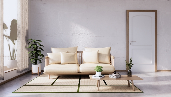 A minimalist living room with a rug and plant
