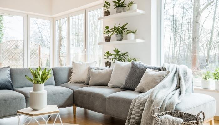 Grey couch surrounded by green plants