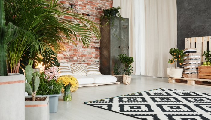 A living space with a balance of patterns from the rug to the pillows