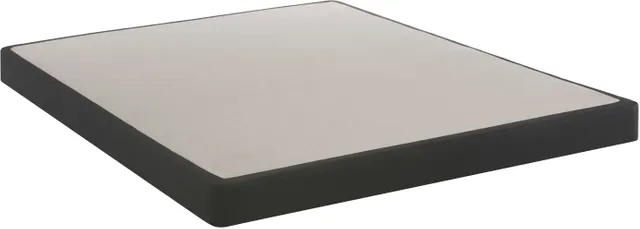 Sealy Queen Low Profile Foundation