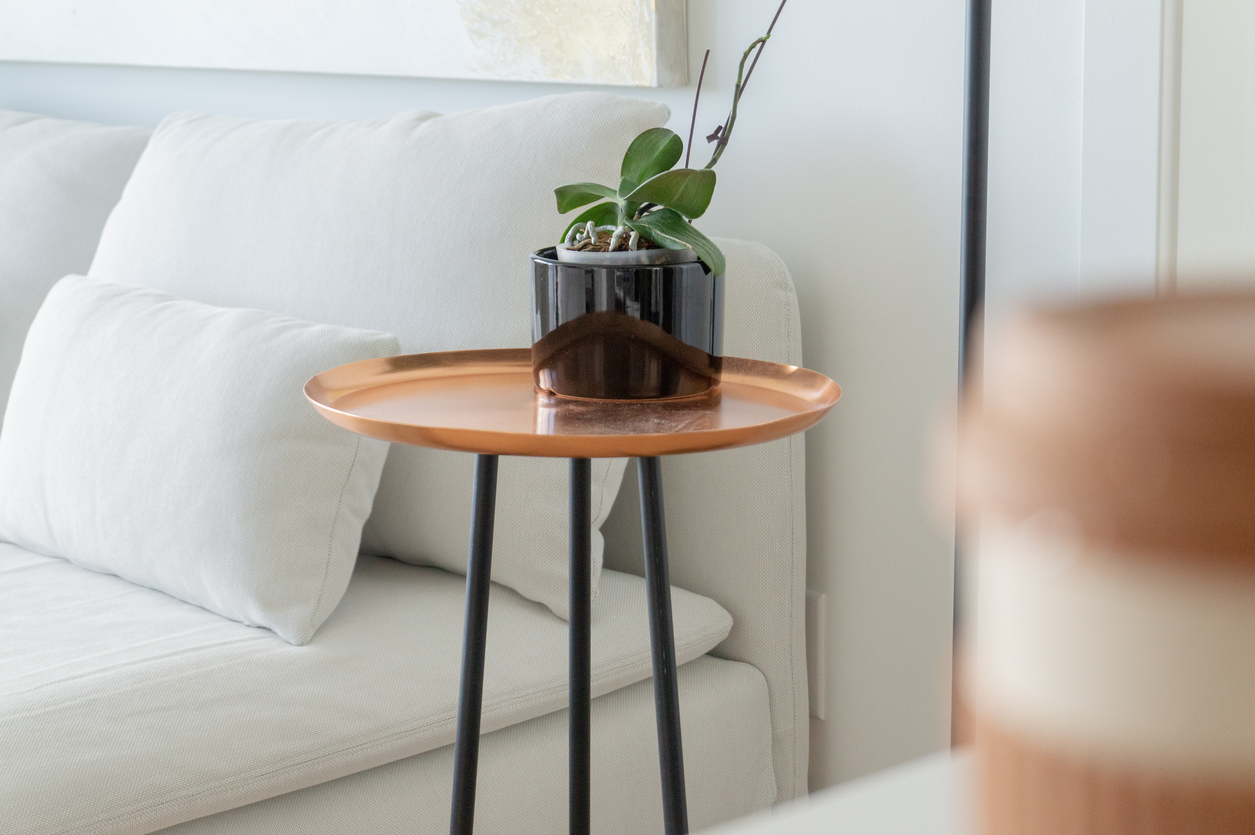 close shot of black accented side table with plant
