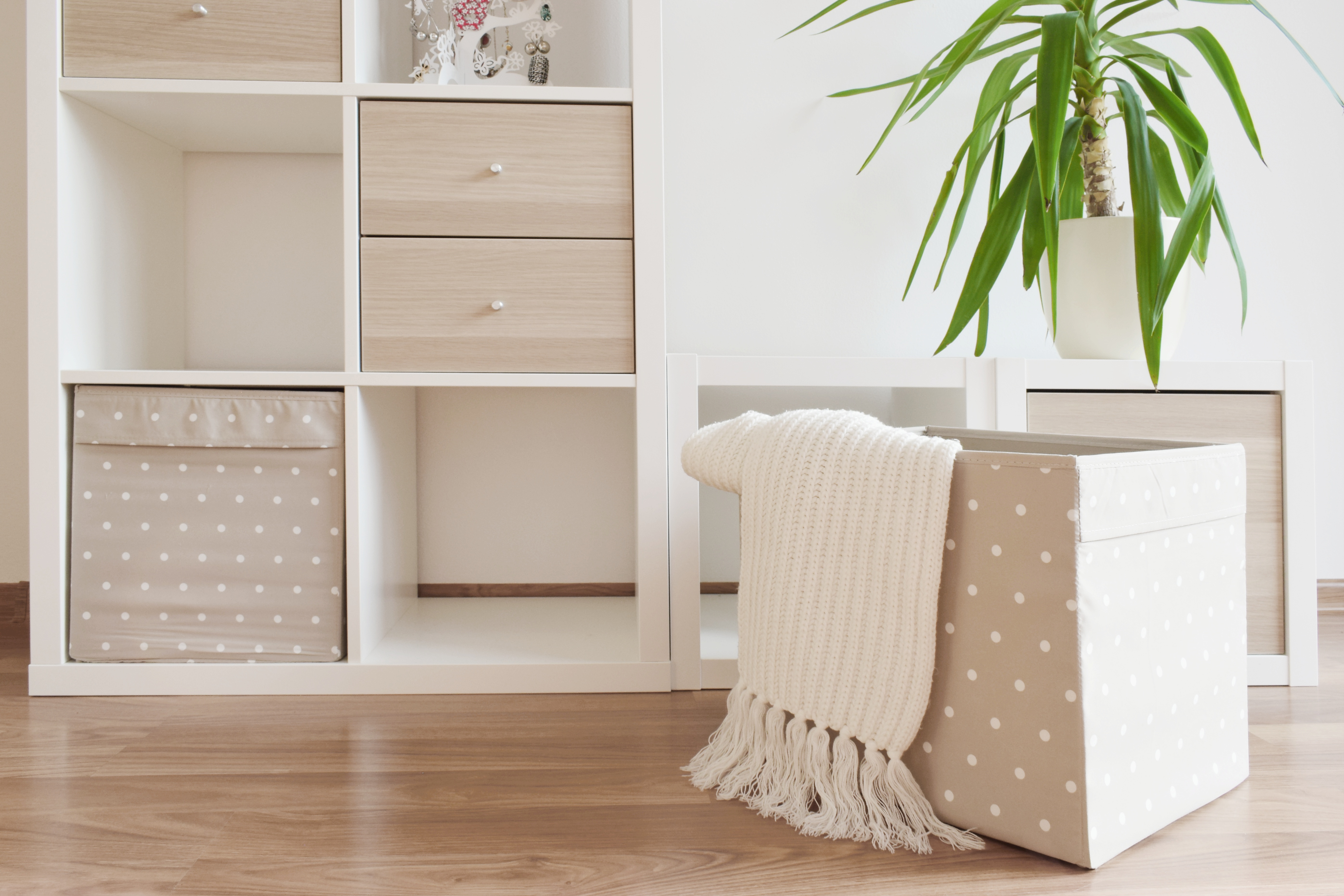 Polka-dot storage boxes in a white wooden cubby next to a plant 