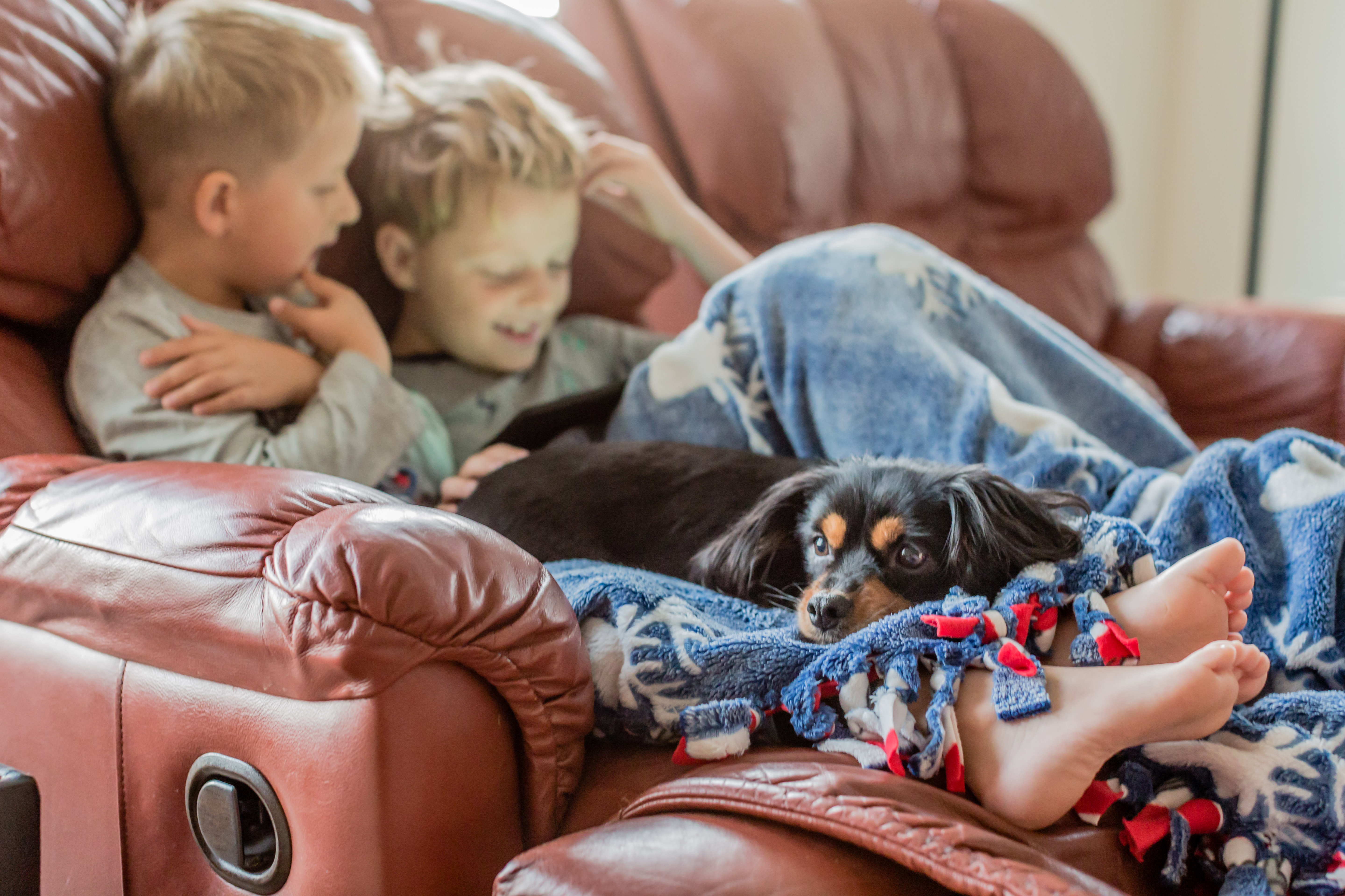 Two boys and a dog seated in a recliner 