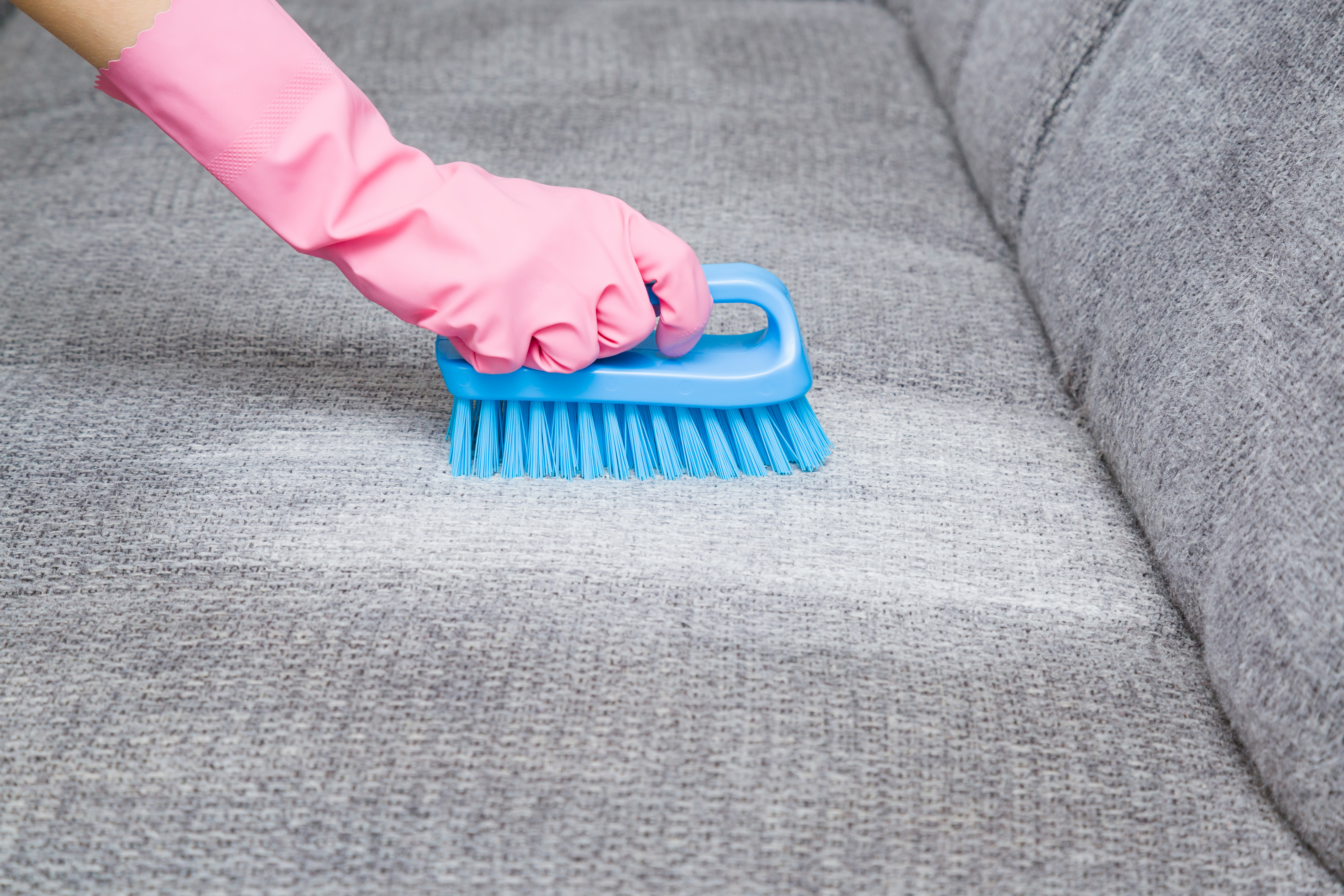 Person in pink gloves scrubbing a stain on a sofa 