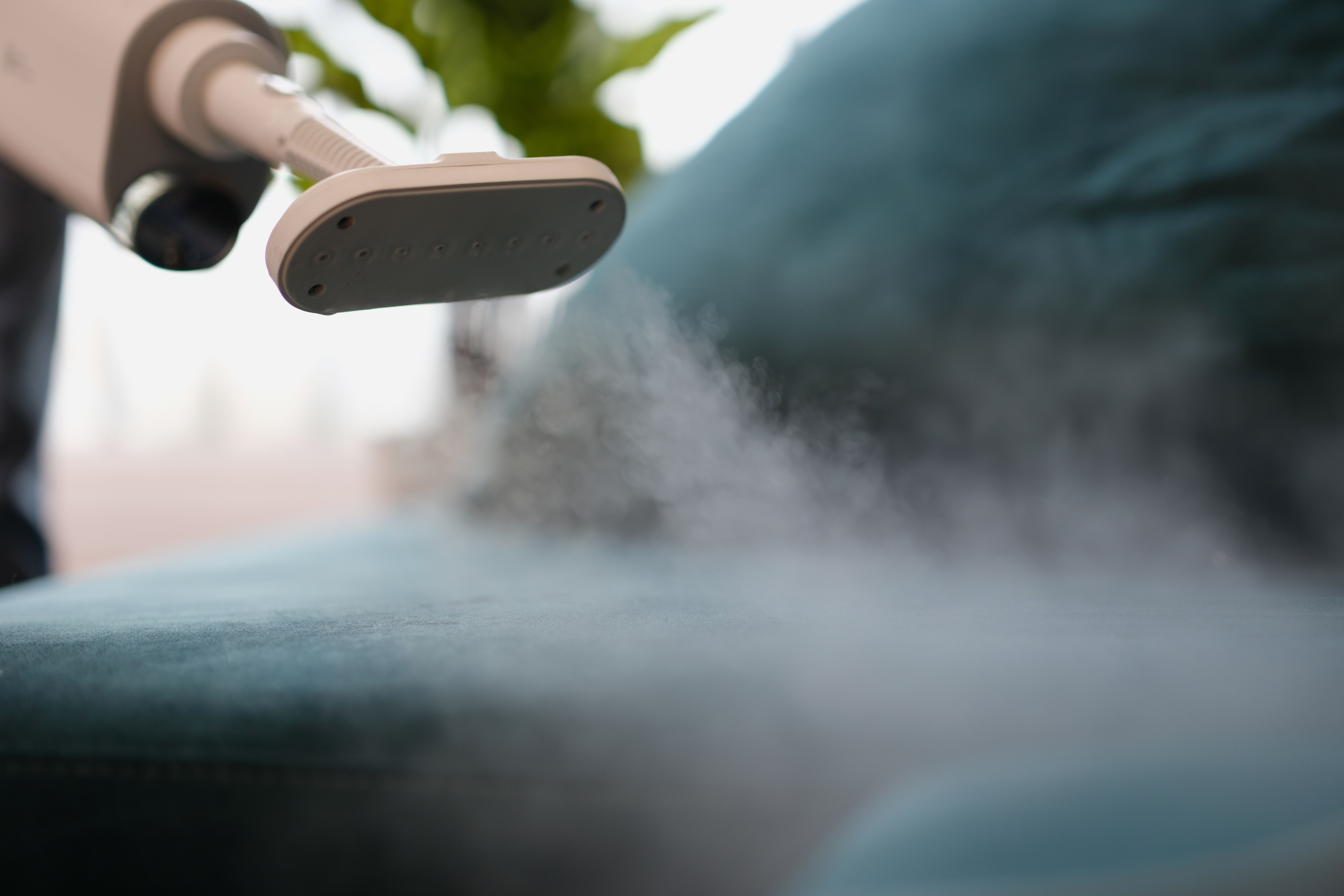 Washing a green sofa with a steam at home