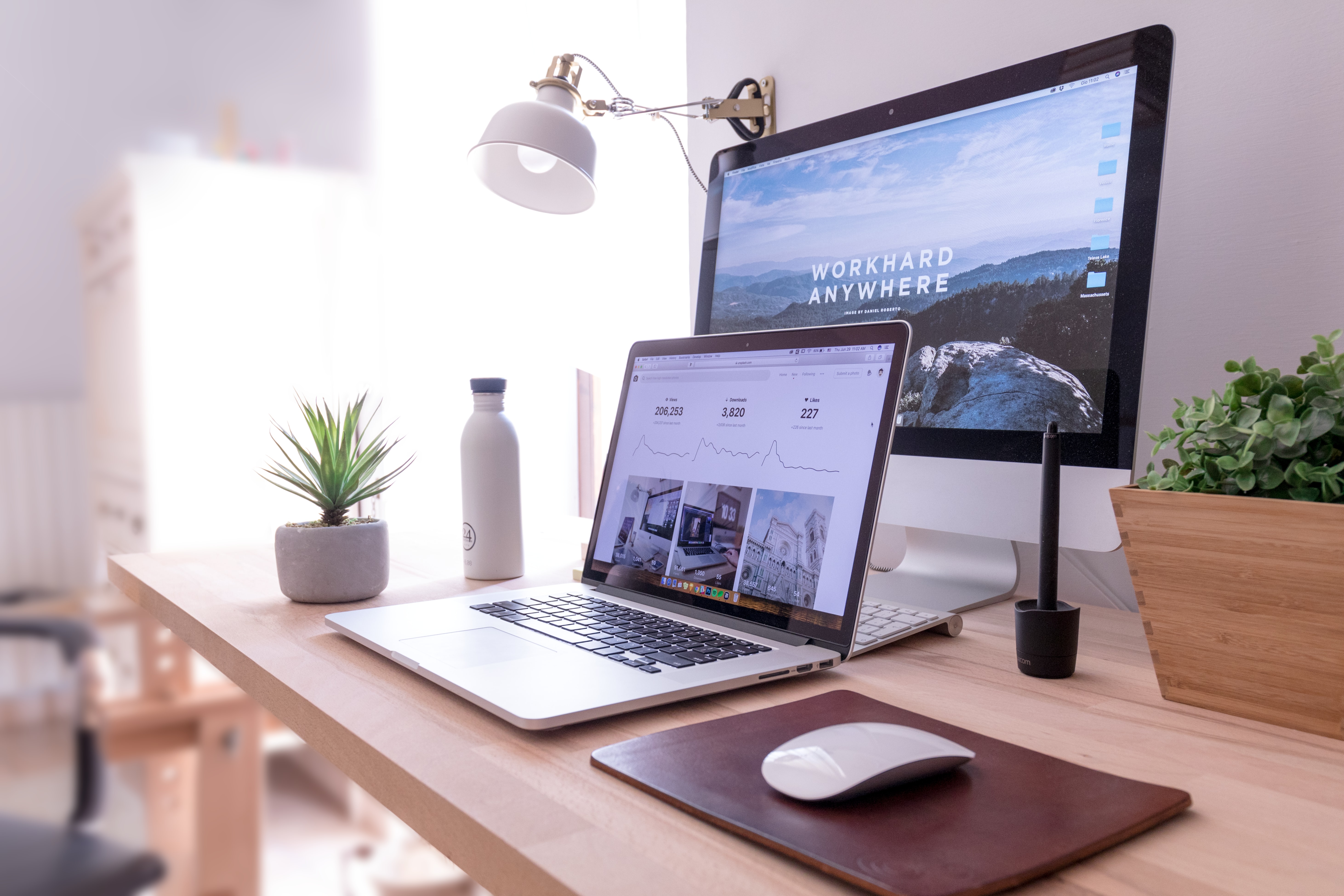 a dual monitor setup on a cleared desk with houseplants