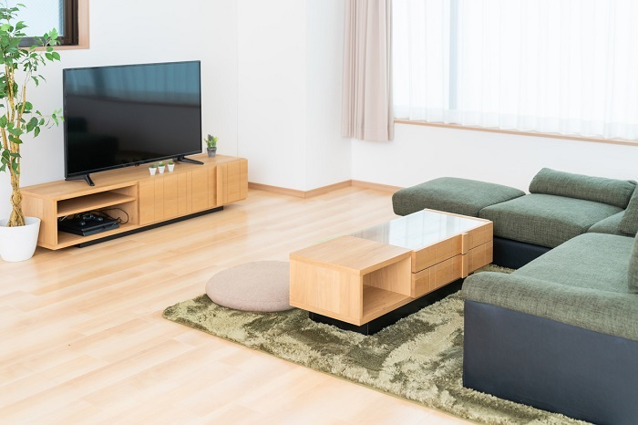 Stylish apartment with modern living room interior and a Wide tv stand. 