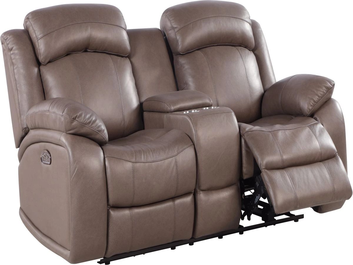 Front view of the Leather Italia Polk Dorian leather console loveseat 