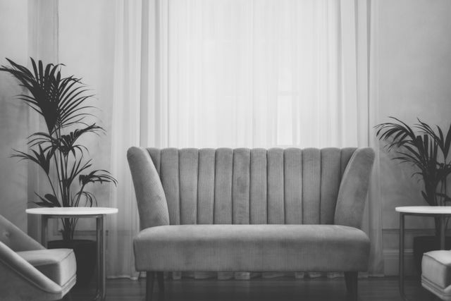 Small grey velvet sofa between two plants in a chic living room