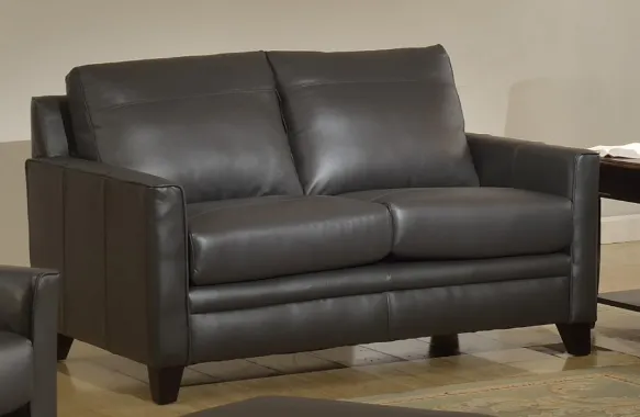 Front view of Leather Italia Cambria leather loveseat 