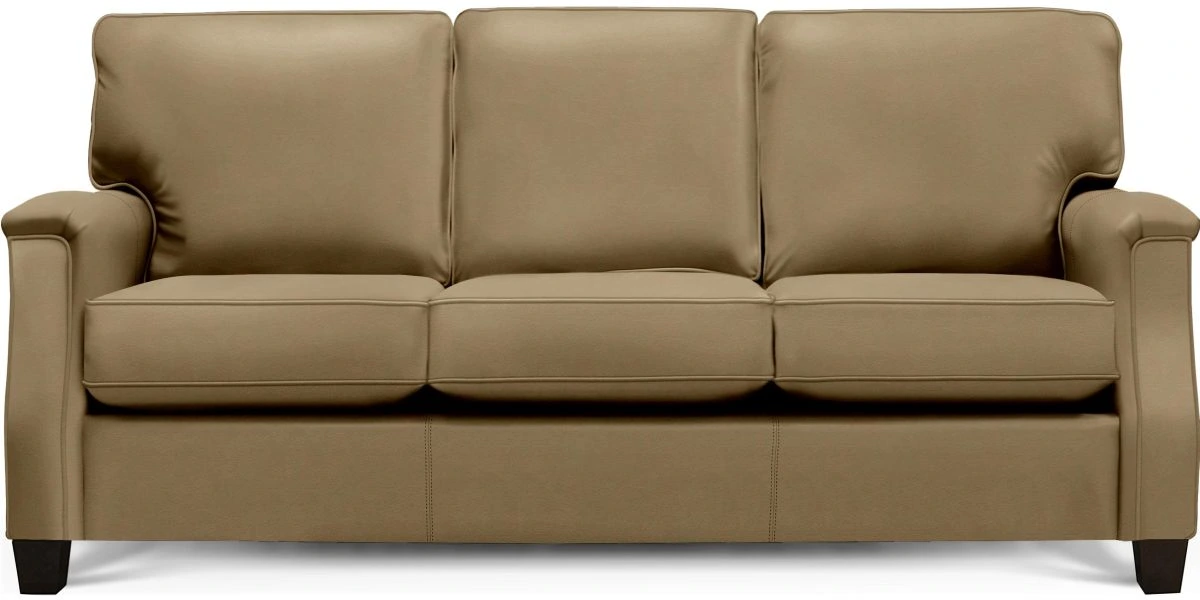 Front view of the England Furniture Salem collection leather sofa 