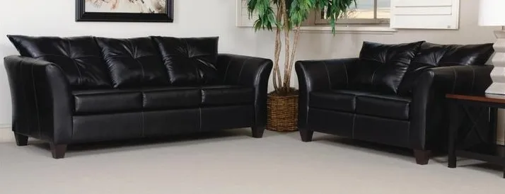 The Hughes Furniture San Marino collection 2-piece sofa set with décor 