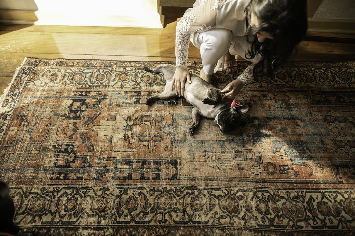 Woman crouching down to pet dog on a large area rug. 