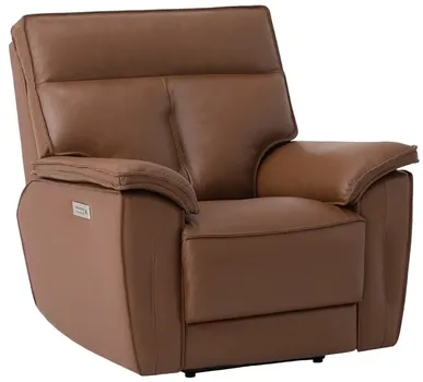 Front view of the Palliser Furniture Oakley collection power recliner 