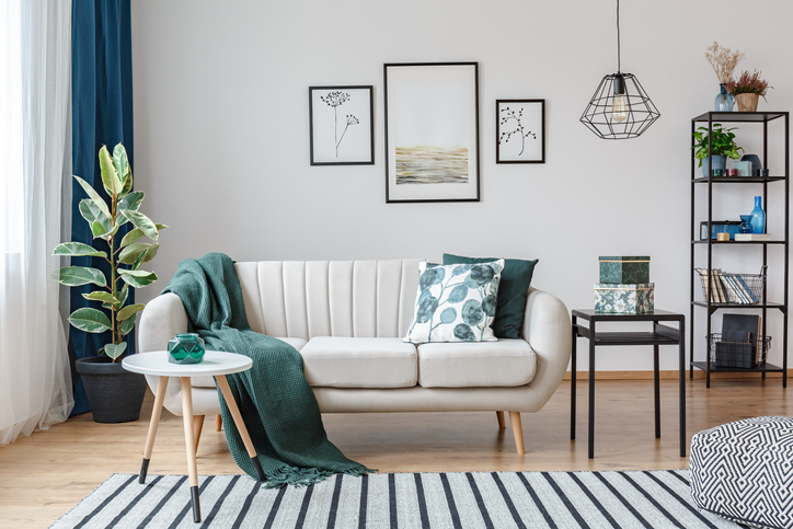 cozy living room with mid-century modern furniture 