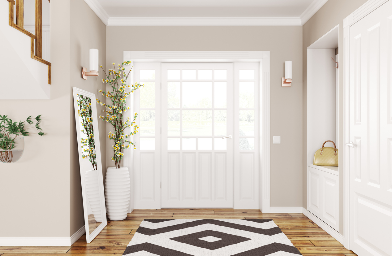Interior design of modern hallway with white and black rug