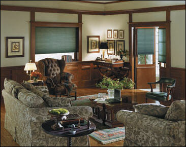 crystal pleat shades in traditional style living room