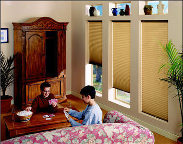 shot of children playing next to pleated shades